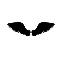 Obraz premium Black and Pinion wings of bird on white background, Vector. Falcon Eagle Bird Logo Template vector icon, black wings animal wings, bird, bat and fly