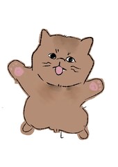 Flying cat meme orange brownies 