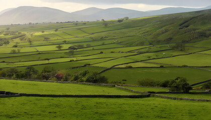 Fototapeta premium Rolling Green Hills of the Irish Countryside with Stone Walls