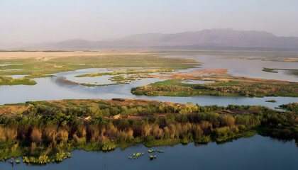 Mesopotamian Marshes with Lush Vegetation and Peaceful Waterways