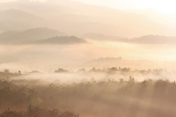 misty morning in the ireng mountain