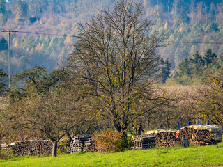 Brennholz Lager im Freien © focus finder