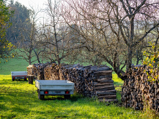 Brennholz Lager im Freien © focus finder