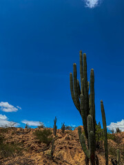 Colombia's Tatacoa Desert