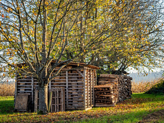 Brennholz Lager im Freien © focus finder