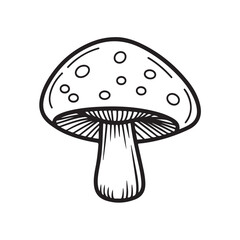 illustration of mushroom