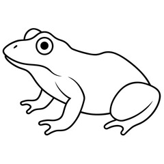 Frog vector line art illustration