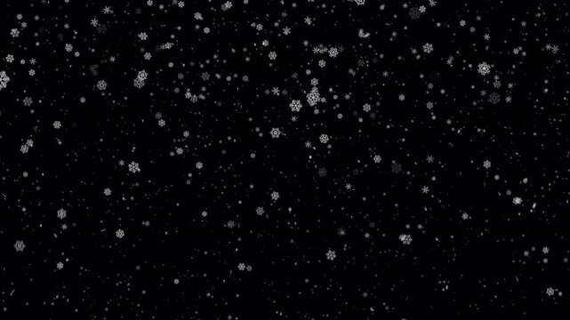 Winter snow, falling snowflakes animation, seamless loop. ProRes4444 with alpha channel (transparent background). Just paste into your project. 