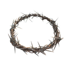 Fototapeta premium A piece of rusty barbed wire, coiled and sharp. PNG transparent.