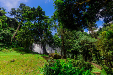 Obraz premium Abstract blurred background of a stream flowing rapidly from rocks in a deep forest, natural waterfalls that occur naturally during the rainy season, the completeness of the ecosystem, fresh air.