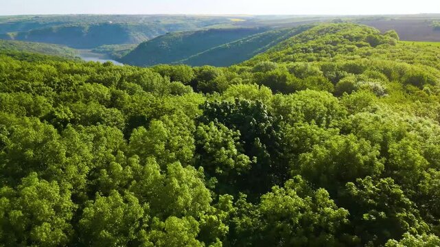 Aerial drone footage of green hills on the Parana River, Teju Cuare Park, Argentina