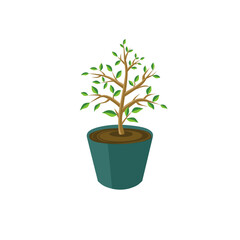 Simple illustration vector design of a small plant in a pot, featuring many branches and bright green leaves, symbolizing growth and life.