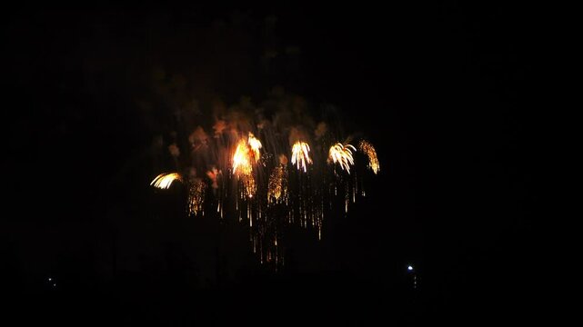 red and gold sparks scatter fireworks on the black night sky above the city. General plan
