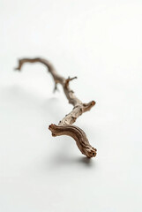 Obraz premium Close-Up of Frost-Covered Wood Branches