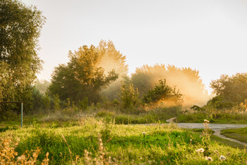 Fototapety na wymiar - Fototapeta24.pl