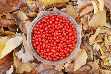 Red goji berries in a glass bowl