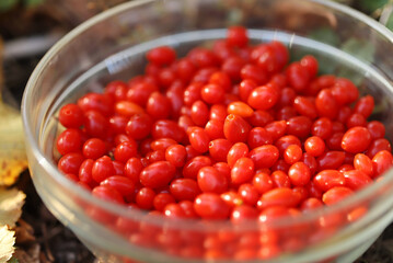 Red goji berries in a glass bowl