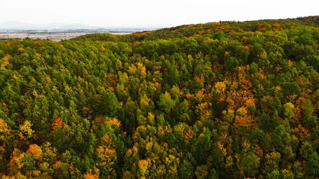 Blue Ridge Mountains, Georgia Drone flyover of mountain forest of trees changing colors in Chattahoochee-Oconee National Forest.