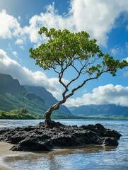 A lone tree on a rock in the middle of a body of water.