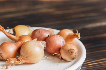 Close-up of a bow lying in a light-colored stand on a wooden background