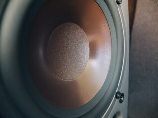 Floorstanding loudspeaker, close-up of the speaker cone