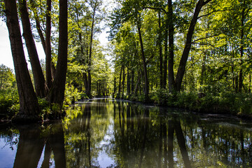 The Spreewald from its most beautiful side