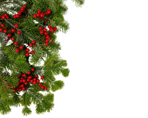 Christmas tree border and red berries decoration isolated on white transparent, Xmas festive garland