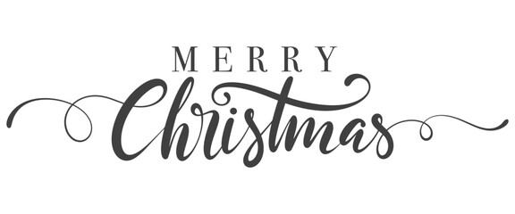 Merry Christmas text. Xmas calligraphic inscription. Christmas handwritten lettering for postcard, poster, banner design element.