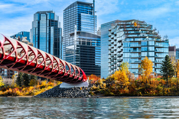 Peace Bridge over the Bow River in Calgary downtown in the fall