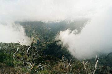 Fototapeta premium Magical misty green forest with waterfalls in Levada do Norte, Madeira island, Portugal. PR17 Pinaculo e Folhadal