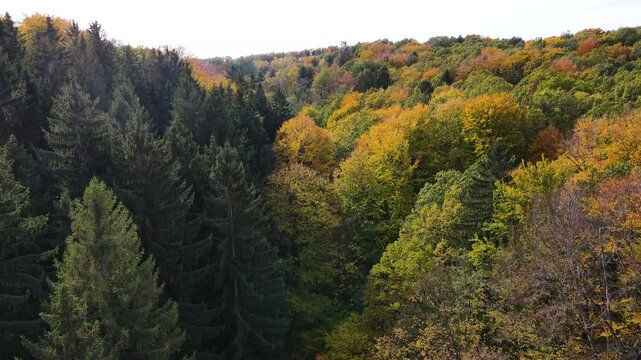 Blue Ridge Mountains, Georgia Drone flyover of mountain forest of trees changing colors in Chattahoochee-Oconee National Forest.