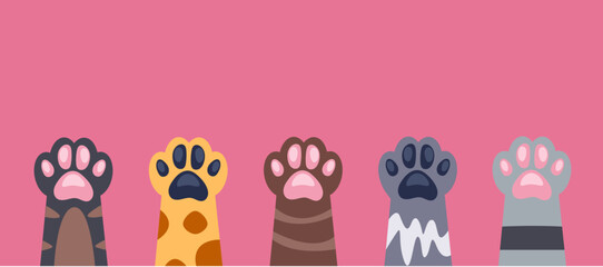 Cat paw pet animal cute kitten poster concept. Vector flat graphic design illustration © PrettyVectors