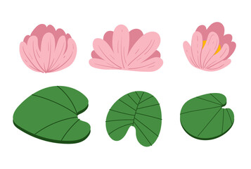 Plant lotus grass swamp water lake design element set. Vector graphic design illustration
