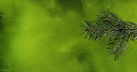 Conifer smoke. Mist texture. Green tree plant in neon color ink water blend dye haze cloud floating wave spreading abstract background.