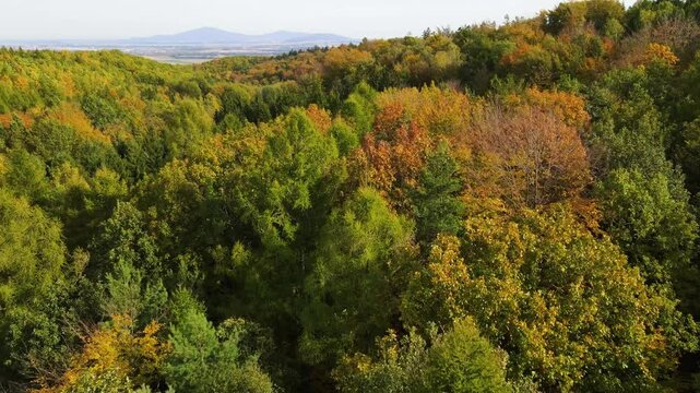 Blue Ridge Mountains, Georgia Drone flyover of mountain forest of trees changing colors in Chattahoochee-Oconee National Forest.