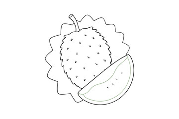 Durian Line Drawing Vector with Slice A Detailed Illustration of the Exotic Fruit