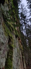Licu-Langu cliffs, Latvian city of Liepa, late autumn