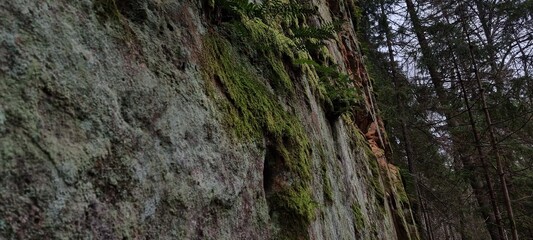 Licu-Langu cliffs, Latvian city of Liepa, late autumn