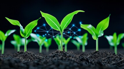 Integrate data for precision agriculture to optimize crop yield using holographic technology.