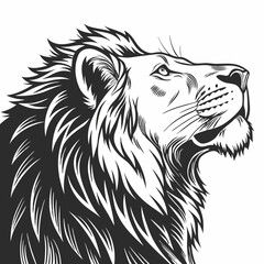 lion head vector