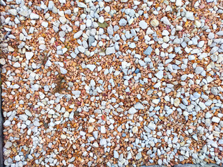 Close-up of colorful gravel texture showing a mix of small white and orange stones on a sunlit surface in a garden setting