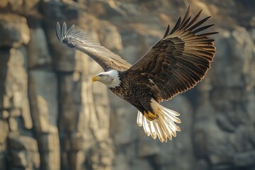 Fototapeta premium Majestic bald eagle soaring over rocky cliffs in flight