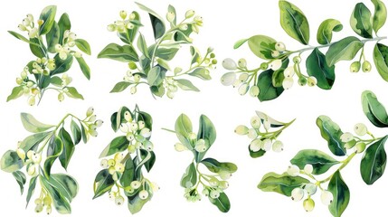 green leaves