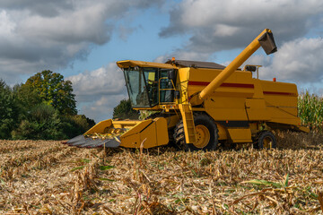 corn harvest