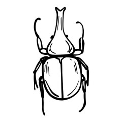 Bug sketch vector. Black and white insect silhouette on isolated white background. Monochrome Outline illustration painted by black inks