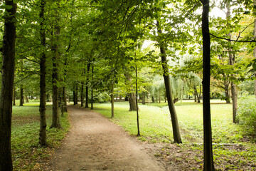 alley in the park