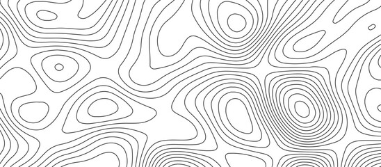 Abstract white wave paper curved reliefs background design. The black on white contours topography stylized relief diagram line wave carve pattern background.