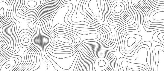 Fototapeta premium Abstract white wave paper curved reliefs background design. The black on white contours topography stylized relief diagram line wave carve pattern background.
