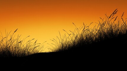 Fototapeta premium Silhouette of grass against a vibrant orange sunset sky.