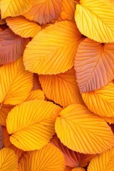 Golden autumn leaves create a vibrant tapestry of warm hues and intricate textures, AI